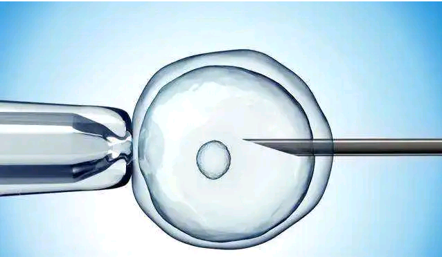 上海仁济-供卵时间,上海瑞金医院做供卵二代试管一次成功费用多少？-专业代孕