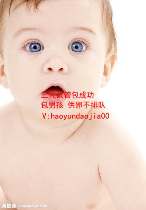 上海供卵试管的成功率_全国供卵快医院_男人备孕期间吃五子衍宗好不好？