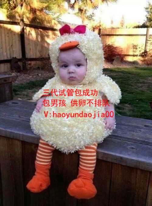 供卵流程是怎样的_上海卵巢早衰做供卵试管_hcg超过多少试纸变淡