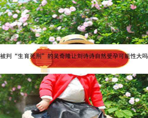 被判“生育死刑”的吴奇隆让刘诗诗自然受孕可能性大吗