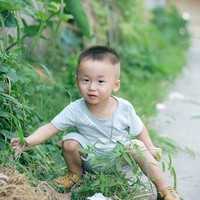 上海试管婴儿可以用医保吗？,上海集爱做三代试管婴儿可以确定胚胎性别选男